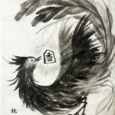 新作メイキング動画を公開しました 新作メイキング動画を公開しました